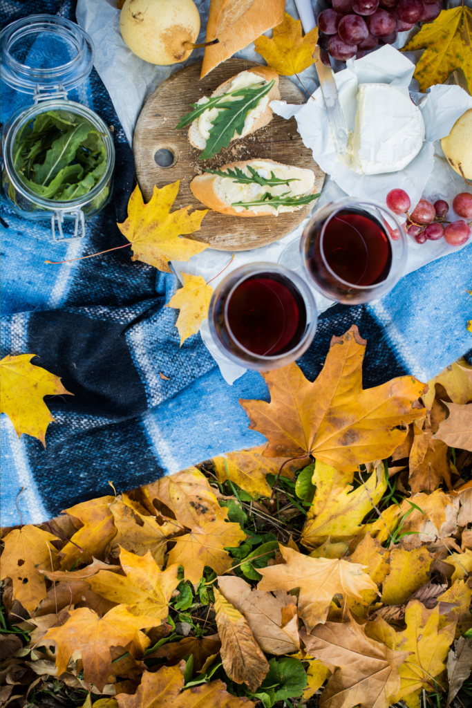 autumn picnic with wine and cheese