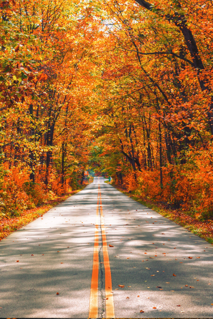 fall foliage road trip