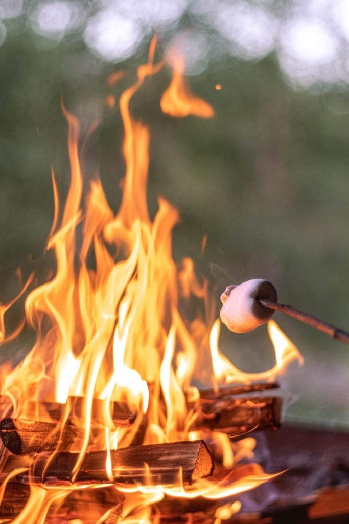 bonfire with toasting marshmallows