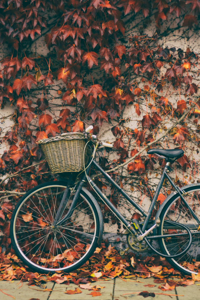 autumn leaves with a bicycle 