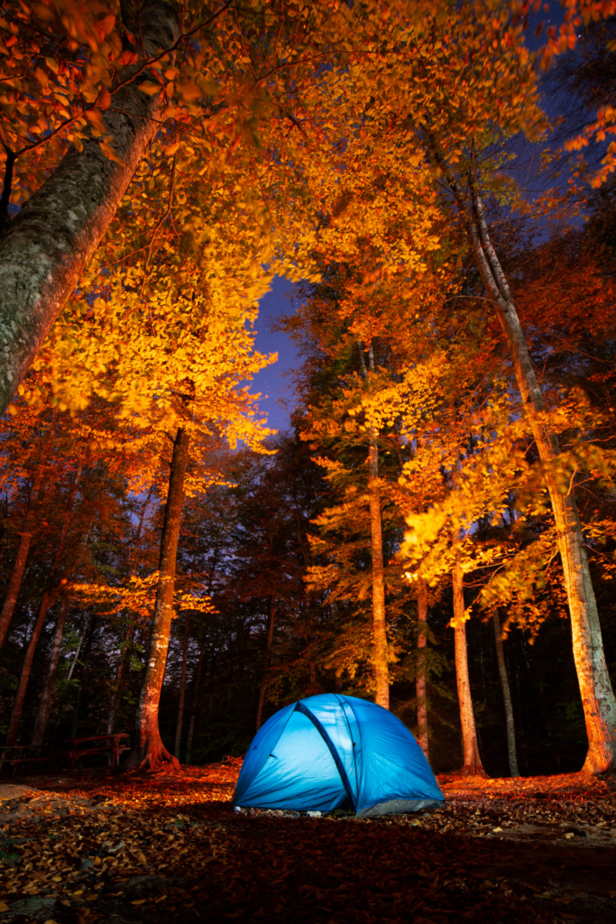 tent in autumn foliage 