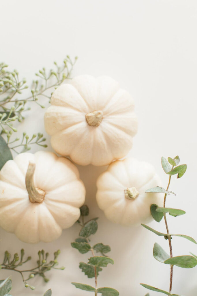 white pumpkin fall decor 