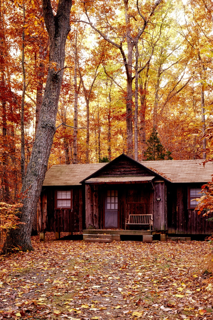 40 fun date night ideas for halloween  - cabin in the woods