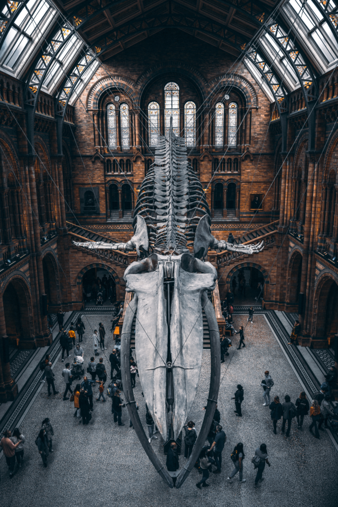 The Most Instagrammable Photo Spots in the UK - the natural history museum london